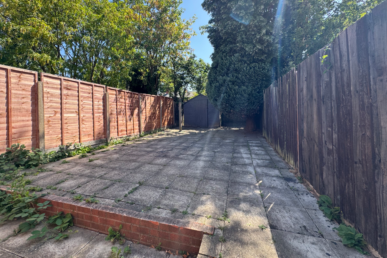 Resize image project-6