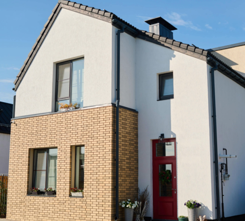 Resize image project-1